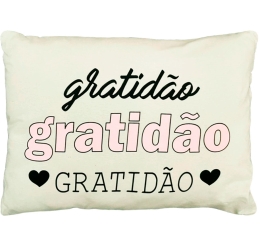 Capa de Almofada 45x35 cm 2.13c